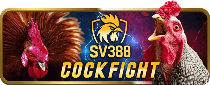 Cá cược bóng đá tại qq66 link vào